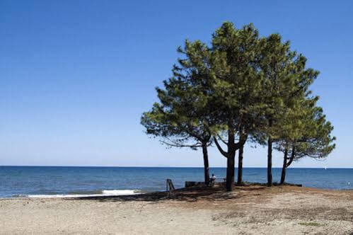 Camping Merendella Moriani-Plage Extérieur photo